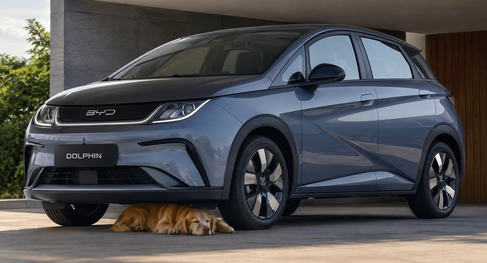 BYD desenvolve sistema que detecta animais embaixo do carro e pode evitar acidentes